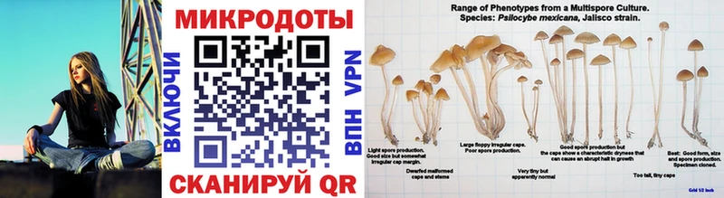 Галлюциногенные грибы MAGIC MUSHROOMS  Пермь 